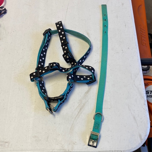 Harness and Collar medium / small dog